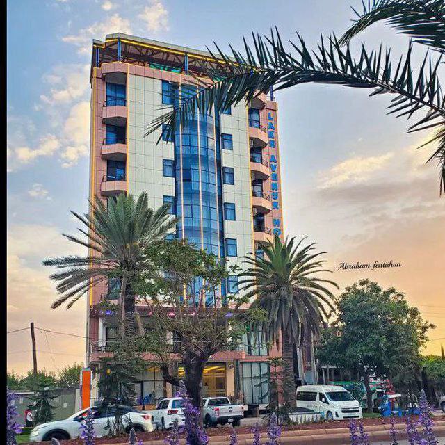 Why Choose Lake Avenue Hotel for Your Stay in Bahir Dar
